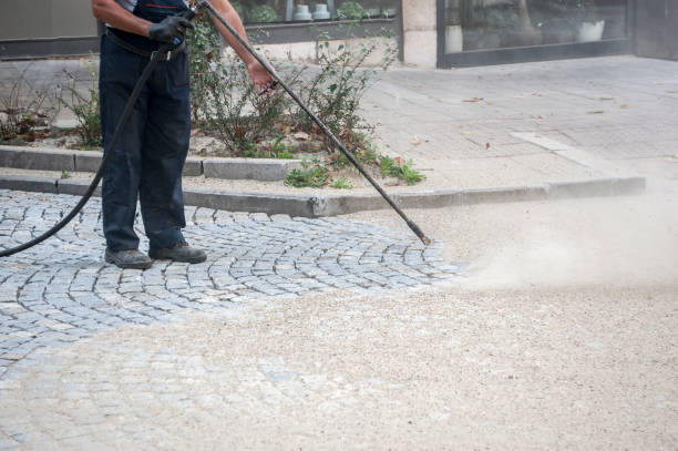 Best Roof Washing  in La Mesa, CA